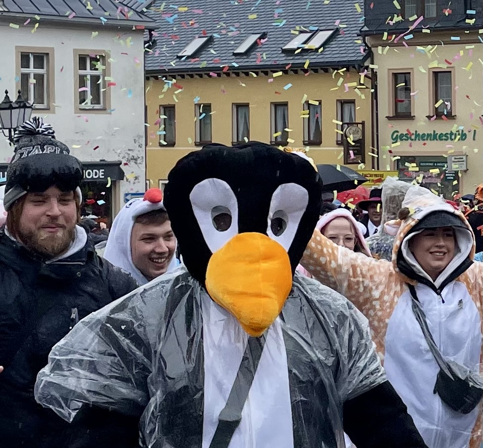 Skifasching24_wms