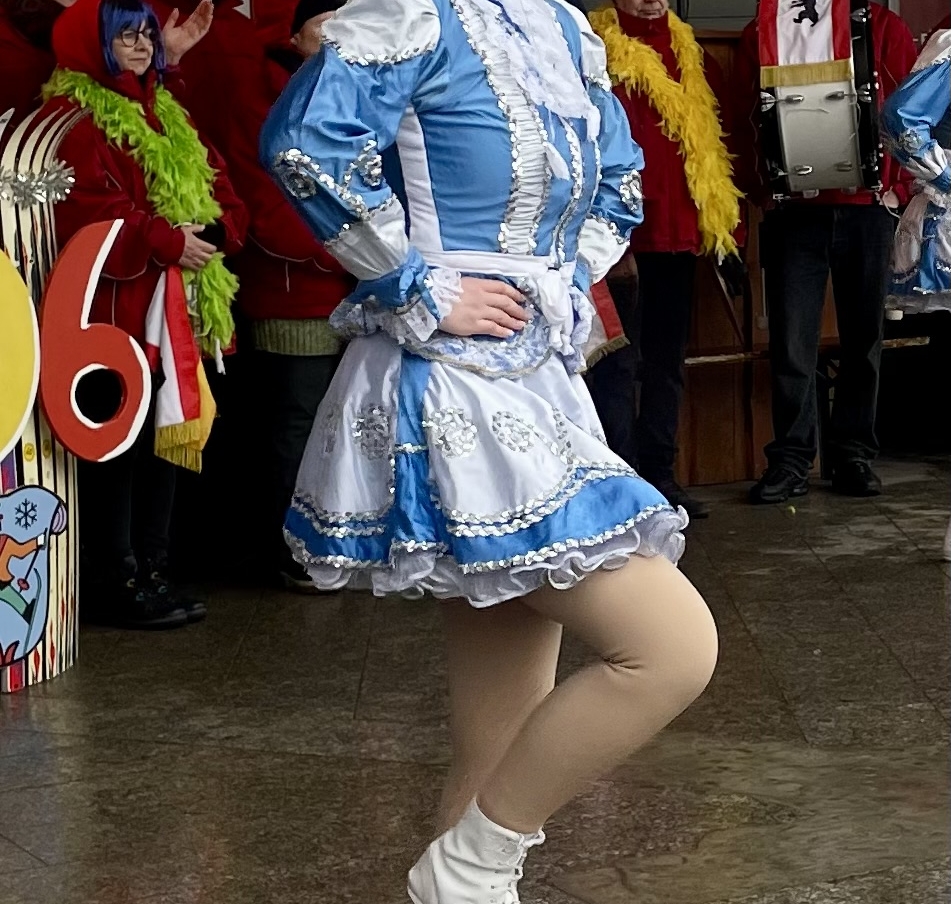 Skifasching24_wms