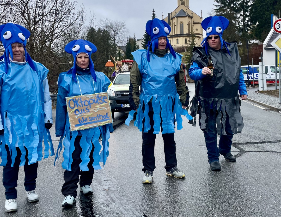 Skifasching24_wms