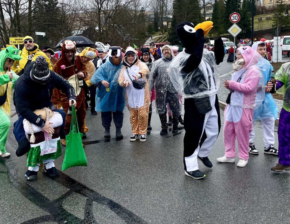 Skifasching24_wms