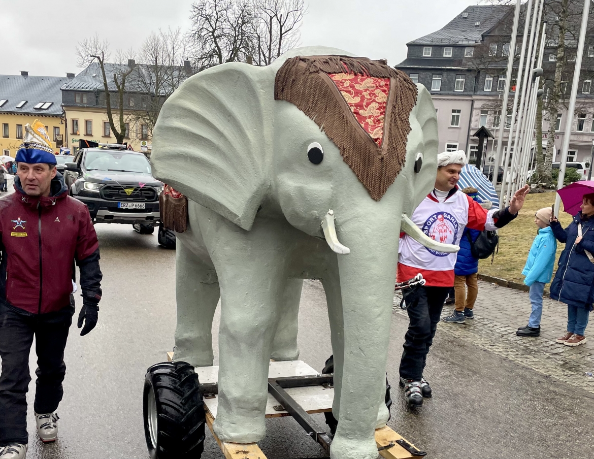 Skifasching24_wms