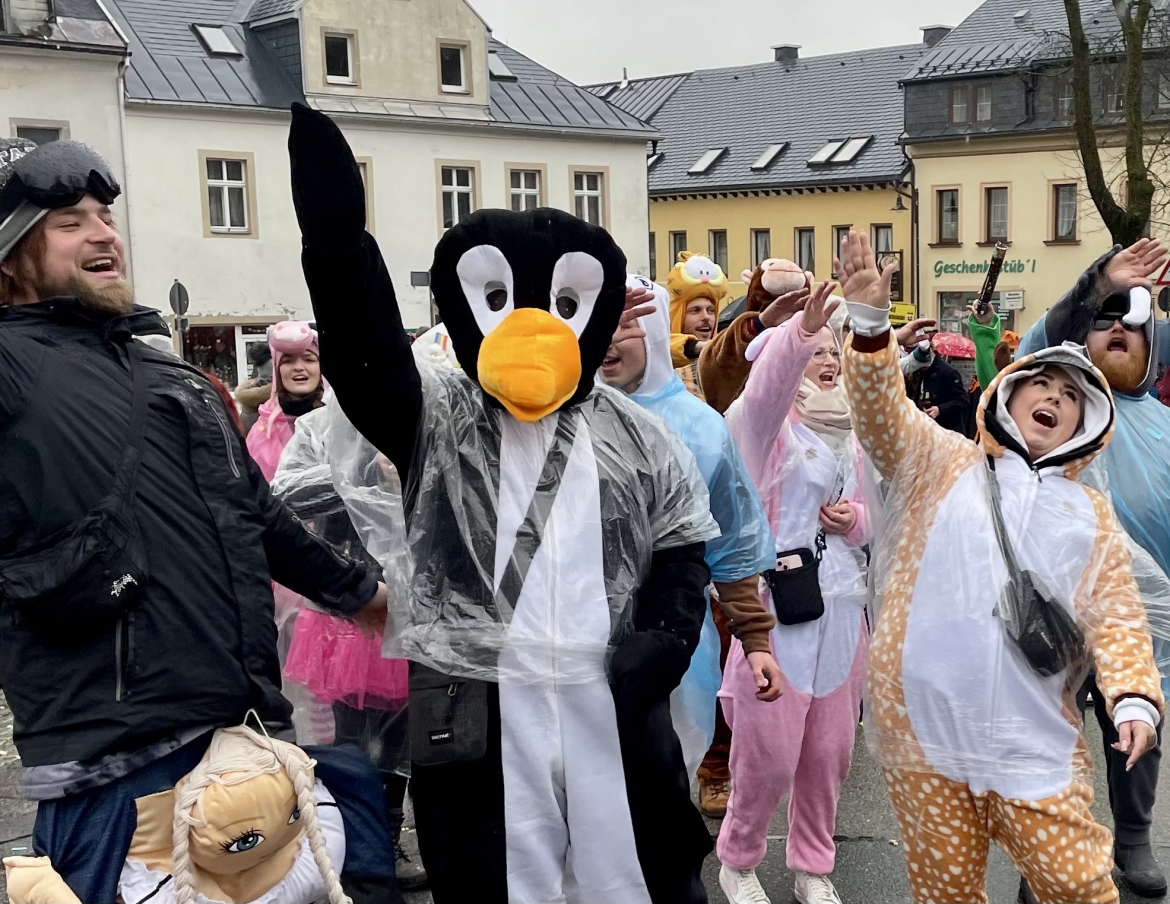 Skifasching24_wms