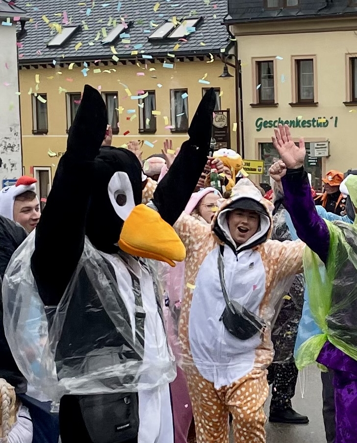 Skifasching24_wms